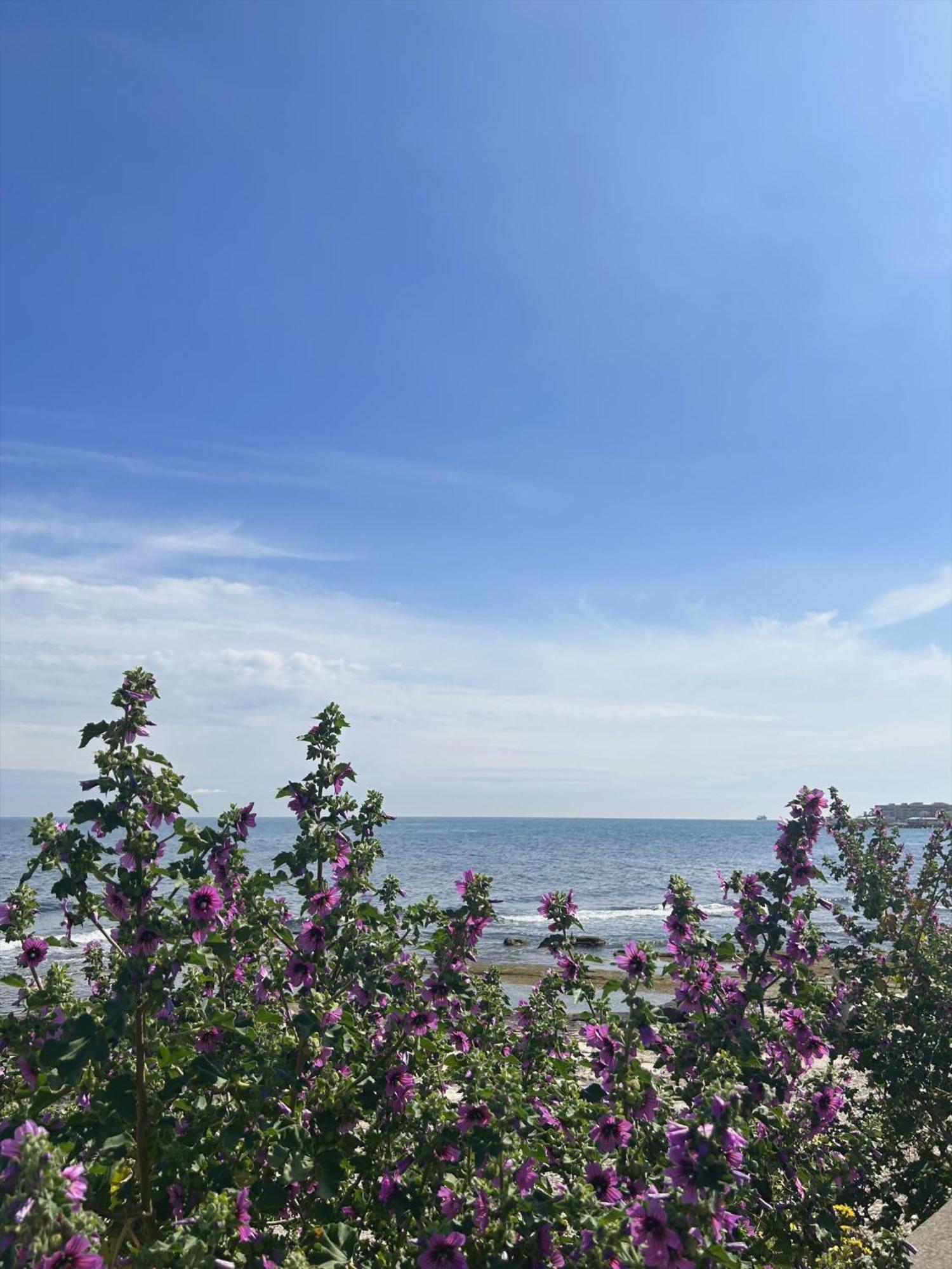 바리 Orchidea B&B 외부 사진